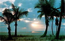 Postcard, Florida, palm trees, sunrise, ocean, warm weather, rain, Postcard picture