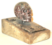Carved Porphyry Marble Momento Mori Human Skull Model on Egyptian Fossil Base picture