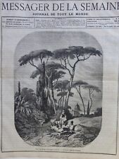 1859 1903 VEGETATION CAMPAIGN VALLEY D ARQUES FARM ANIMALS 7 ANTIQUE NEWSPAPERS picture