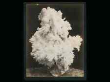 Rare Imperial Photo of Mineral Formation Tombstone Arizona Photographer CS FLY picture