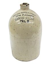 Antique Late 1800’s Stoneware Jug Wm. Radam's Microbe Killer No. 2 Quackery Meds picture