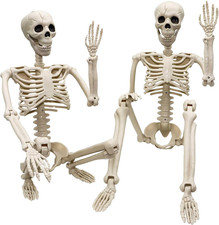 2 Pack 36"Halloween Skeleton - 3 Ft Life Size Human Skeleton with Full Body Posa picture