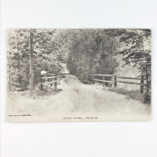 Saline Michigan Dirt Road Postcard 1930s Albertype Bridge Fence Vintage MI A2690 picture