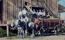HAULING GRAPEFRUIT, FLORIDA Group Workmen, Horse Drawn Wagon, Cochrane Co. 1900s picture
