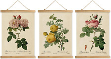 Rose Botanical Art Posters with Wooden Hanger Frame 3-Pack, Elegant Floral Wall  picture