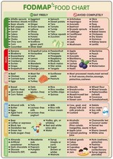 FODMAP Diet Chart Fridge Magnet High & Low FODMAP Guide Meal Prep Grocery List picture