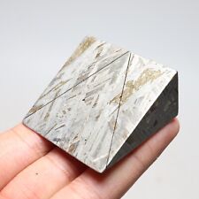 120g  Muonionalusta meteorite part slice C7182 picture