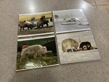 Rare Vintage Photos Wildlife Lot Of 4 Andy Marquez Signed And Numbered picture