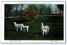 c1910's Washington Park Zoological Garden Milwaukee Wisconsin WI Postcard picture