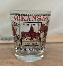 Arkansas State Shot Glass Vacation Travel Souvenir Bar Alcohol State Facts Clear picture