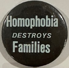 Homophobia DESTROYS Families LGBTQI+ Social Justice Protest Pinback Button picture