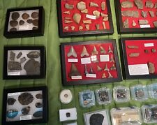 Huge Fossil Collection With Cases, Sharks Teeth, Mammal Bones, Dinosaur Bones picture