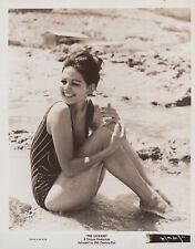 Claudia Cardinale (1960s) ❤ Leggy Cheesecake Swimsuit Vintage Photo K 250 picture
