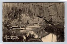 Crystal River FL-Florida, Riverview, Antique, Vintage Postcard picture