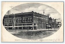 1910 North Chestnut Street Buildings Road Reed City Michigan MI Vintage Postcard picture