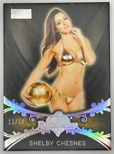 SHELBY CHESNES 2021 Benchwarmer Gold Edition PREMIUM BASE Silver Foil 11/14 picture