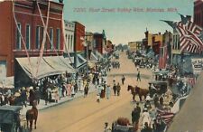 MANISTEE MI - River Street Looking West Showing Horses and Carriages Postcard picture