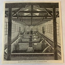 1877 magazine engraving ~ FISH BREEDING ESTABLISHMENT Huningue, France picture