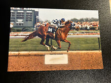 Secretariat Hair Strands Lock Relic Historic Horse Mane Kentucky Derby Racehorse picture