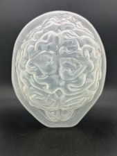 Life Size Brain Dessert Gelaton Jello Mold Zombie Food Halloween Horror BN33 picture