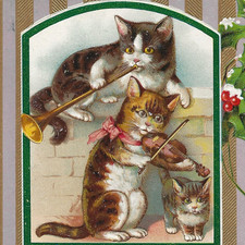 Christmas Cats Kitten Music Trumpet Violin Kitten Holly Emb PC Vtg c1912 Unused picture