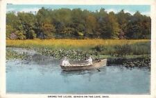 Postcard Among Lilies Geneva on Lake OH picture