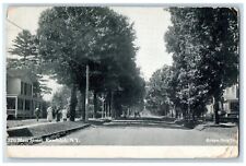 1907 Main Street Road Exterior Houses Trees Randolph New York Vintage Postcard picture