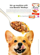 PURINA #95 MAGAZINE promo ad 2013 DOG picture