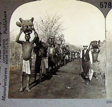 Big Game Hunt Rhodesia Zimbabwe Africa Photograph Keystone Stereoview Card picture