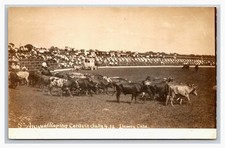 RPPC ~ Dewey OK ~ Rodeo Roundup 5th annul roping contest   ~ Oklahoma cowboy picture