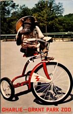Atlanta GA Charlie Clown Chimpanzee Tricycle Grant Park Zoo postcard JQ5 picture