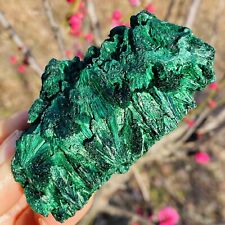 186G Natural Malachite Cluster Mineral Quartz Crystal Reiki Healing Gift picture