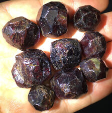 9PCS 100g New Find Raw Garnet Crystal Specimens Natural Rare picture