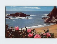 Postcard Wild rhododendron blooms contrast with the rugged coast USA picture