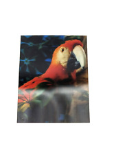 Parrot Tropical Animal Birds Aviary Ornithology Photo Test 3d 3-d Photograph picture