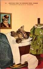 Linen PC Greetings From Sunshine State, Florida Kitten Sleeping Military Uniform picture