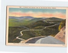 Postcard Close-Up & Distant View of Skyline Drive Virginia USA picture