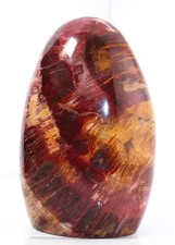LARGE PETRIFIED RAINBOW WOOD POLISHED FREE-FORM, 7 INCHES TALL – 5 lb. 3oz picture