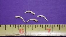 4 Venomous SNAKE FANGS, Taxidermy Collectible Reptile Venom *FREE SHIPPING* #01 picture