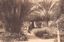 Algiers, ALGERIA - Hotel El-Djazaïr / Hotel St. George - Gardens - Sepia - WWII picture