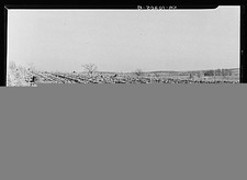 Photo:Hamilton County Illinois 1937 Soil Erosion Cornfield Stumps Gullies picture