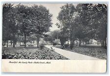 1908 Beautiful Mc Camly Park Exterior Battle Creek Michigan MI Vintage Postcard picture