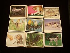 MY FAVORITE ANIMALS set of 180 Stickers  Made by Panini  - Trading Cards picture