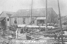 Oyster Shop C Cenac & Co Fishing Boat Houma Louisiana LA Reprint Postcard picture