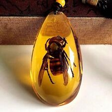 Bumblebee Amber Fossil Insects Samples Stones Crystal Specimens Oval Pendants picture