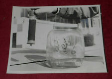 1967 Press Photo Lead Candle & Glass Jug Used In Air Pollution Study picture