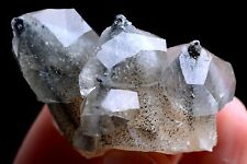 35g Natural Highest Grade Benz Clear Calcite & Pyrite Crystal Mineral  Specimen picture