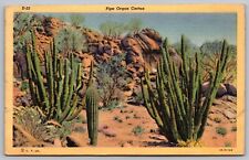 Pipe Organ Cactus Linen Desert Vegetation Sand Dunes WOB Vintage PM Postcard picture