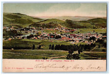 c1905 Birds Eye View of Livingston New York NY Posted HL Sprague Co. Postcard picture