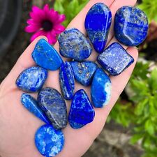 Lapis Lazuli Tumblestones Natural Crystal Healing Stones Blue Gold Stone UK picture